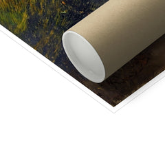 image0