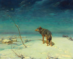 Der einsame Wolf | Alfred von Wierusz-Kowalski | 19. Jahrhundert
