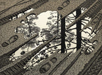 Puddle | M. C. Escher | 1952