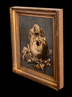 Still Life of a Skull Memento Mori | Follower of Pieter Claesz | 17th Century