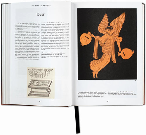 Interior spread on dew, with an orange symbolic illustration — The Book of Symbols: Reflections on Archetypal Images.