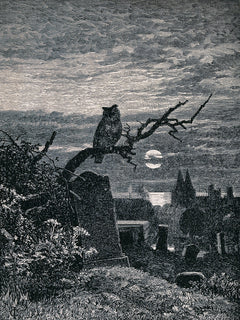 Graveyard at Night with Owl | Robert Paterson | 1875