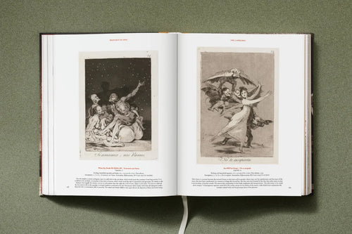Goya - The Complete Prints
