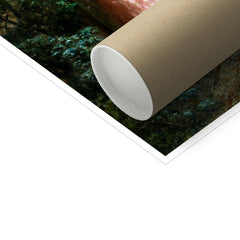 image0
