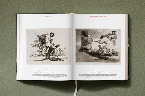 Goya - The Complete Prints