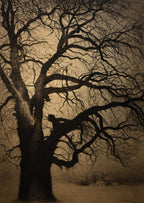 Tree in Winter | Léon Spilliaert | 1930