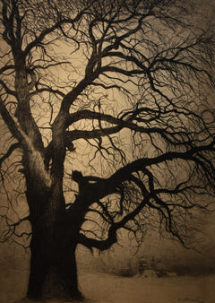 Tree in Winter | Léon Spilliaert | 1930