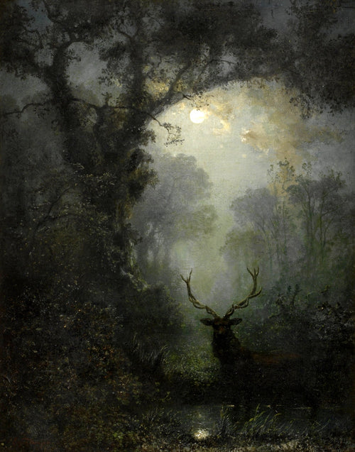 Deer in The Forest | Eugen Krüger | 19th Century