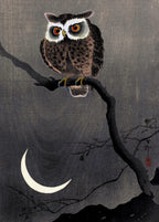 Long Eared Owl on Bare Tree Branch | Ohara Koson | 1915