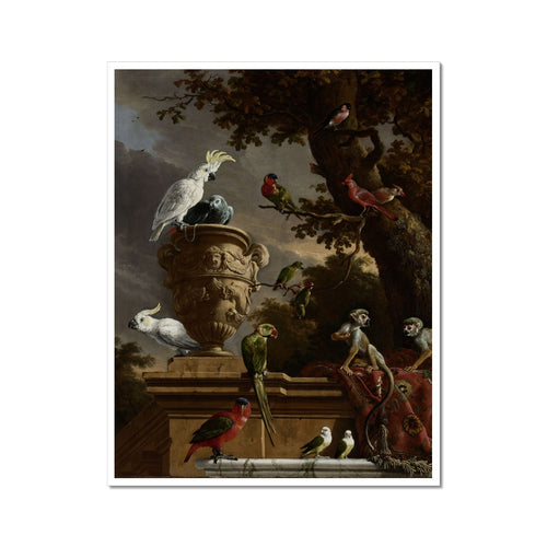The Menagerie | Melchior d'Hondecoeter | 1690