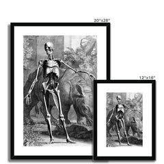 Skeleton with Rhinoceros | Jan Wandelaar | 1747